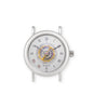 buy Haldimann H1 Flying Tourbillon  Platinum preowned watch at A Collected Man London
