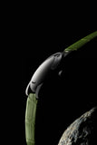 UR-102 Wandering Hours | Titanium