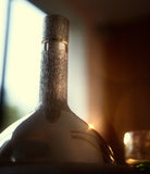 rare George Grant MacDonald silver decanter with organic texture at A Collected Man London home of rare objects