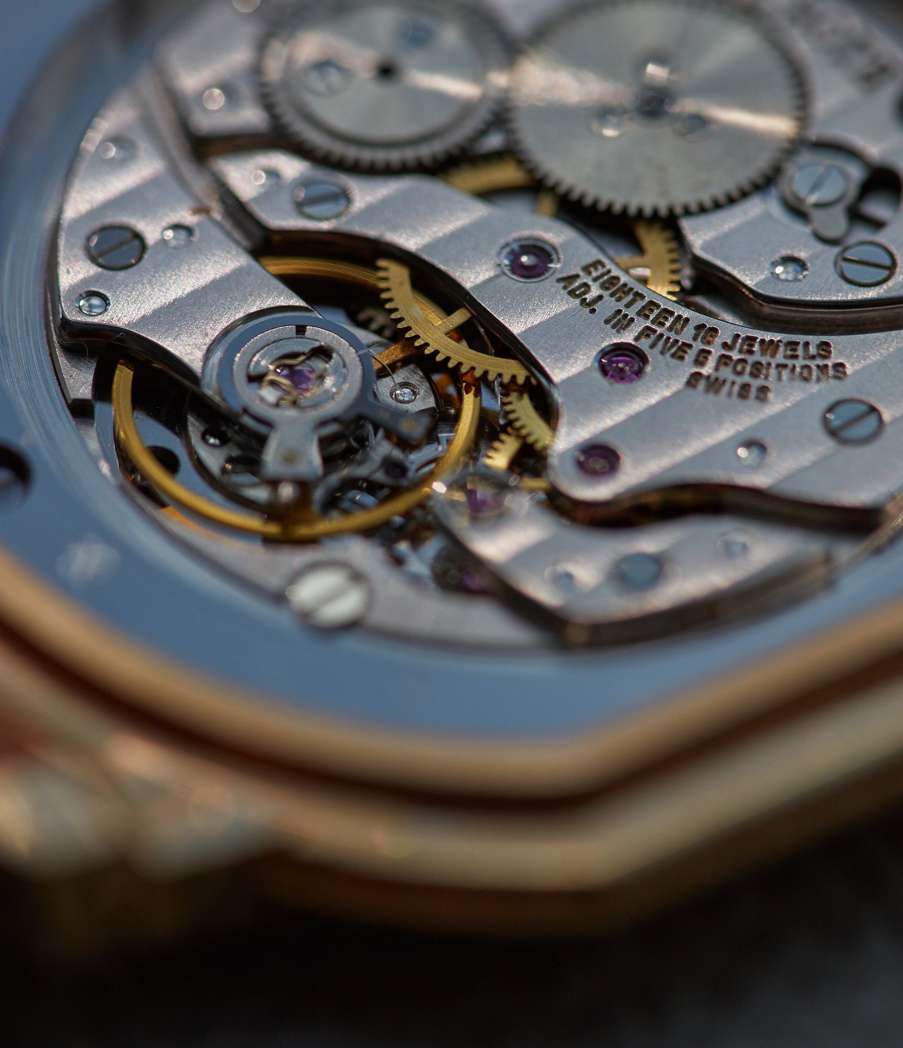 Ellipsocurvex | Yellow Gold