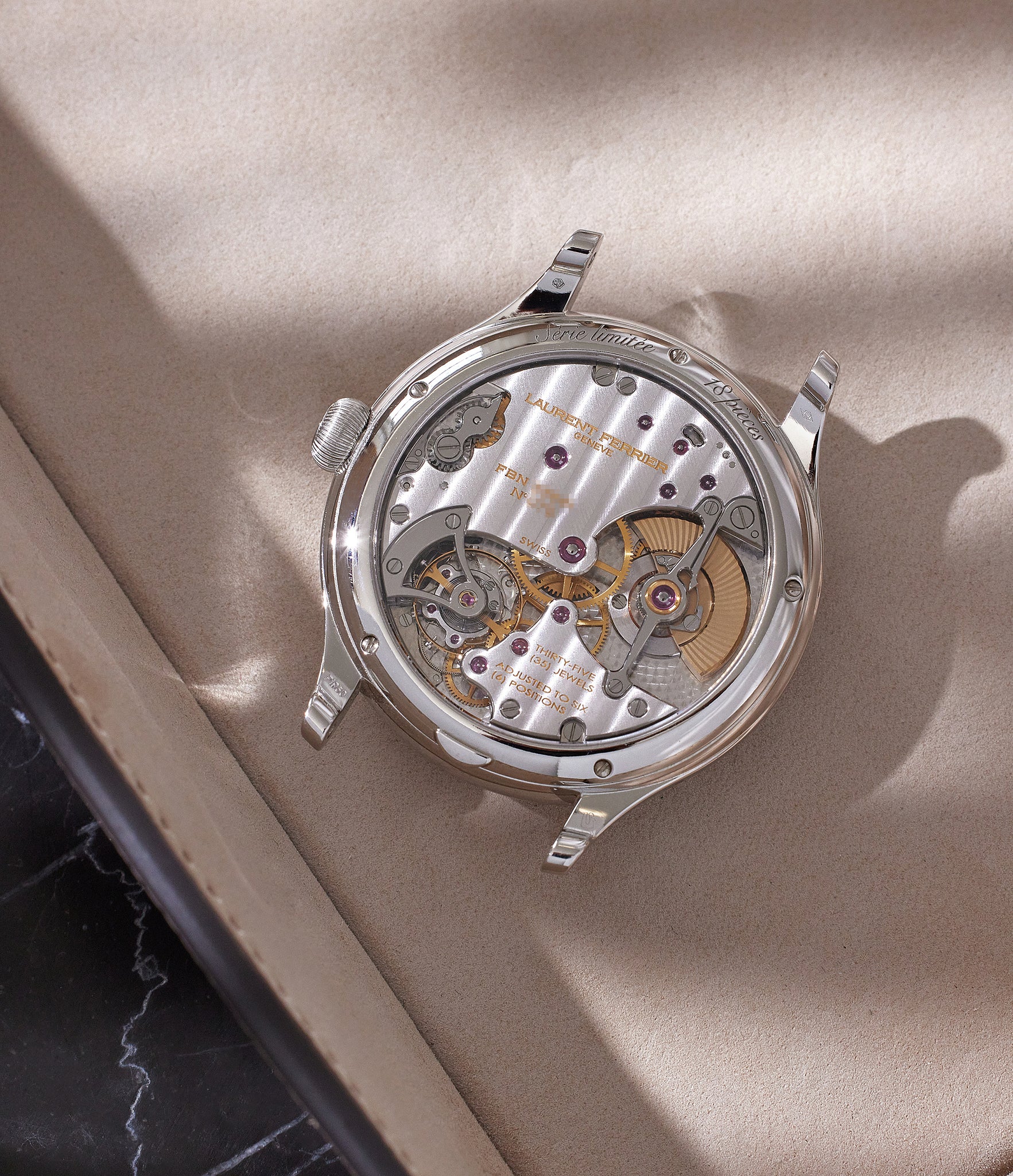 Galet Micro-Rotor | Platinum